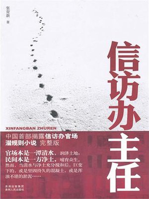 cover image of 信访办主任 (Director of Petition Office)